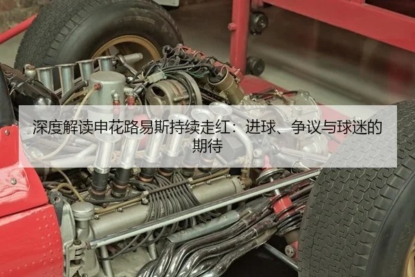 深度解读申花路易斯持续走红：进球、争议与球迷的期待